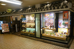 かっぱ横丁店|ぐるなび